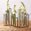 Two's Company 13 in. High Lavoisier Set of 10 Dark Brown Hinged Flower Vases with Antiqued Rusted Finish and Clear Glass Tubes