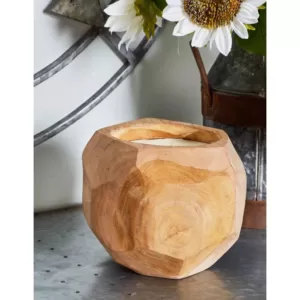 LITTON LANE Brown Coconut-Shaped Wax Candle