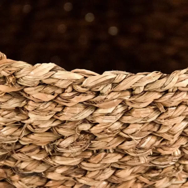 Zentique Concave Hand Woven Seagrass Medium without Handles Basket