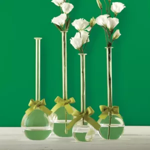 Two's Company 4-Sizes Sleek and Chic with Sage Green Ribbon Includes Clear Bubble Vases  ( Set of 4)