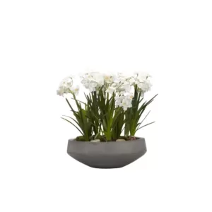 D&W Silks Indoor Paper White Bulbs in Concrete Bowl
