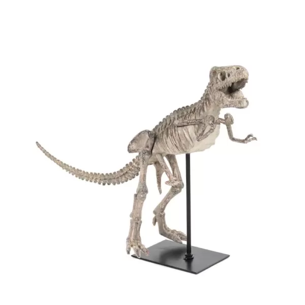 Zentique Polyresin Cast Distressed Brown/ Grey Tyrannosaurus Rex Skeleton w/Base