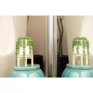 Flora Bunda 10 in. Faux String of Pearl Donkey Tail in White Ceramic Planter with Wood Stand