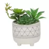 Flora Bunda 6 in. White Footed Black GEO Ceramic with Faux Succulents Mix
