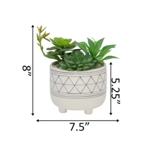 Flora Bunda 6 in. White Footed Black GEO Ceramic with Faux Succulents Mix