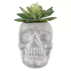 Flora Bunda 5 in. x 3 in. Halloween Artificial Succulent in Gray Cement Sugar Skull