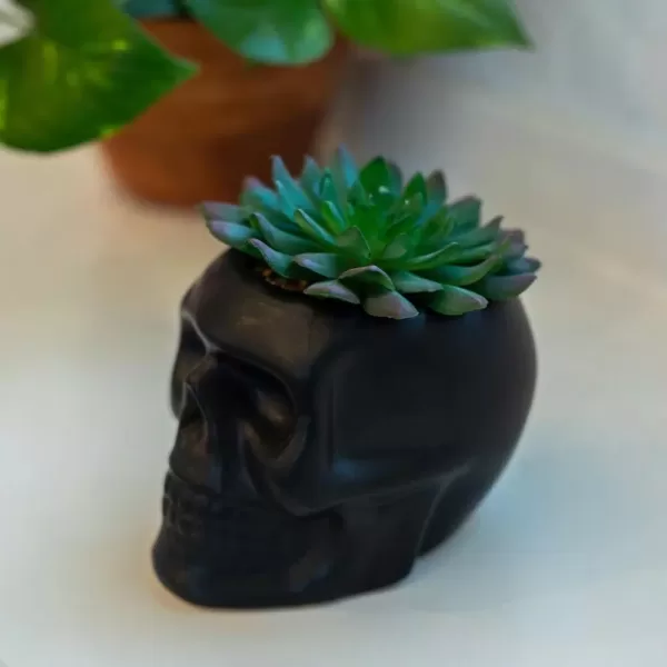 Flora Bunda 4.5 in. x 3.5 in. Artificial Succulent in Matte Black Ceramic Sugar Skull