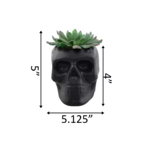 Flora Bunda 4.5 in. x 3.5 in. Artificial Succulent in Matte Black Ceramic Sugar Skull