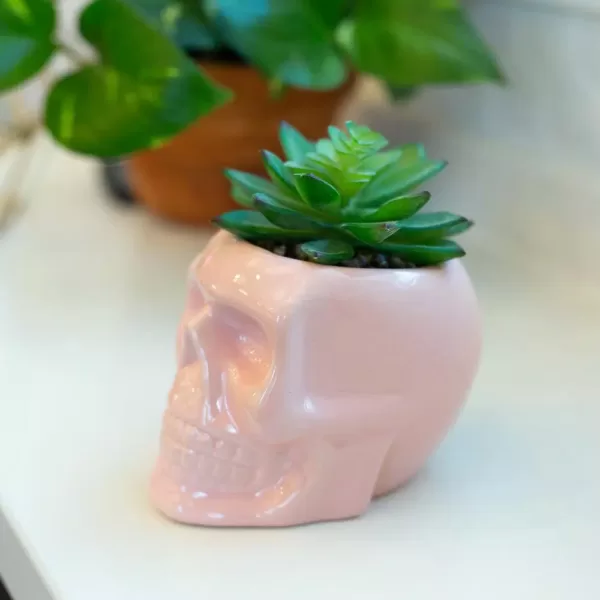 Flora Bunda 4.5 in. x 3.5 in. Artificial Succulent in Pink Ceramic Sugar Skull