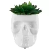 Flora Bunda 4.5 in. x 3.5 in. Artificial Succulent in White Ceramic Sugar Skull