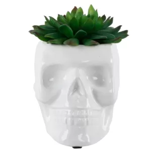 Flora Bunda 4.5 in. x 3.5 in. Artificial Succulent in White Ceramic Sugar Skull