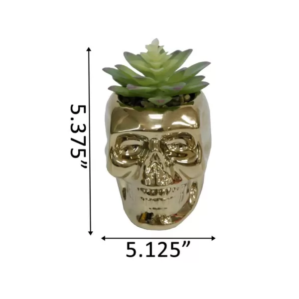 Flora Bunda 5.1 in. x 4 in. Artificial Succulent in Metallic Gold Ceramic Sugar Skull