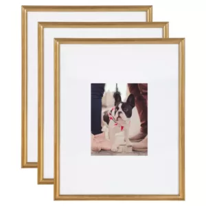 Kate and Laurel Adlynn 16 in. x 20 in. matted to 8 in. x10 in. Gold Picture Frames (Set of 3)