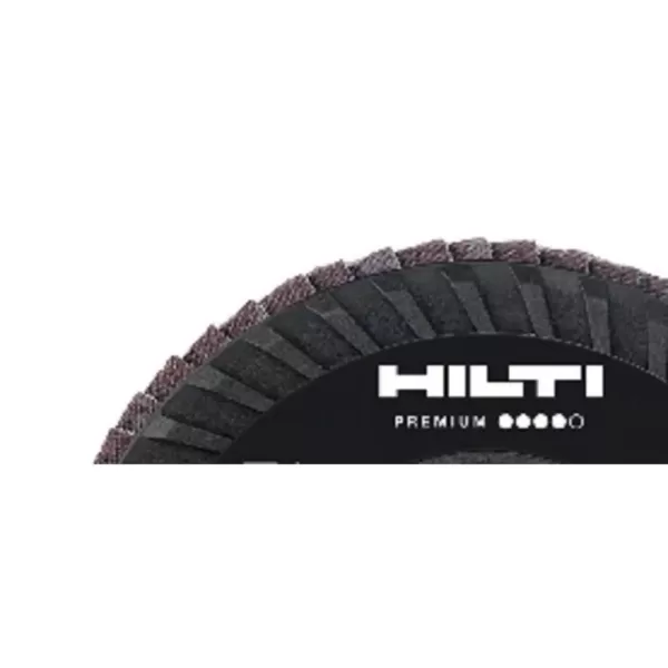 Hilti 5 in. x 5/8-11 in. 36 to 40-Grit Type 29 Flap Disc SP Premium Pack (10-Piece)