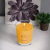 ROOT CANDLES Veriglass Tangerine Lemongrass Scented Filled Jar Candle