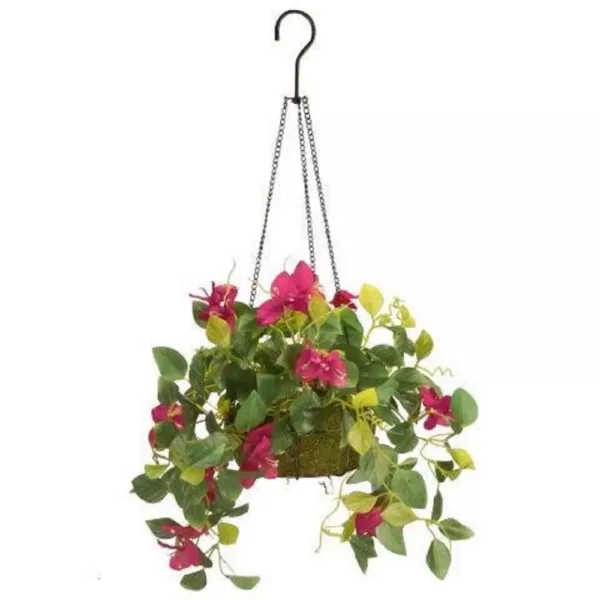 National Tree Company 9 in. Bougainvillea Plant Hanging Basket