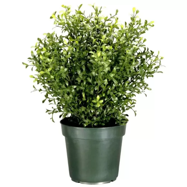 National Tree Company 30 in. Argentea Artificial Plant in Round Green Growers Pot