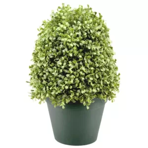 National Tree Company 15 in. Boxwood Artificial Tree in Dark Green Round Plastic Urn