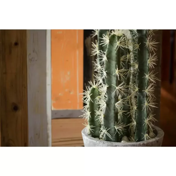 Nearly Natural Decorative Cactus Garden with Cement Planter