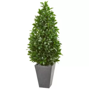Nearly Natural Indoor/Outdoor 57-In. Bay Leaf Cone Topiary Tree in Slate Planter