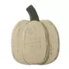 Northlight 10.5 in. Small White Wooden Fall Harvest Pumpkin with Stem