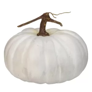 Northlight 7 in. White Flat Round Pumpkin Fall Harvest Table Top Decoration