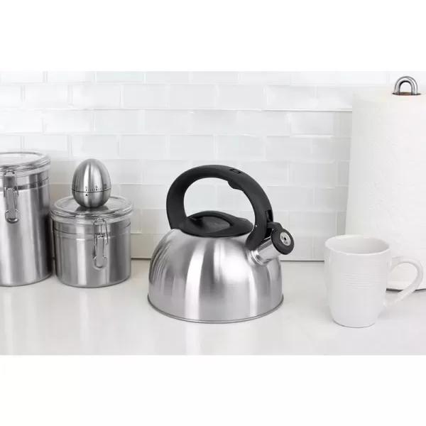 Home Basics Silver Tea Kettle
