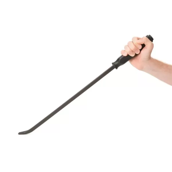 TEKTON 25 in. Angled Tip Handled Pry Bar with Striking Cap