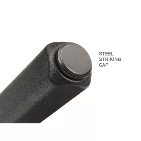 TEKTON 31 in. Angled Tip Handled Pry Bar with Striking Cap