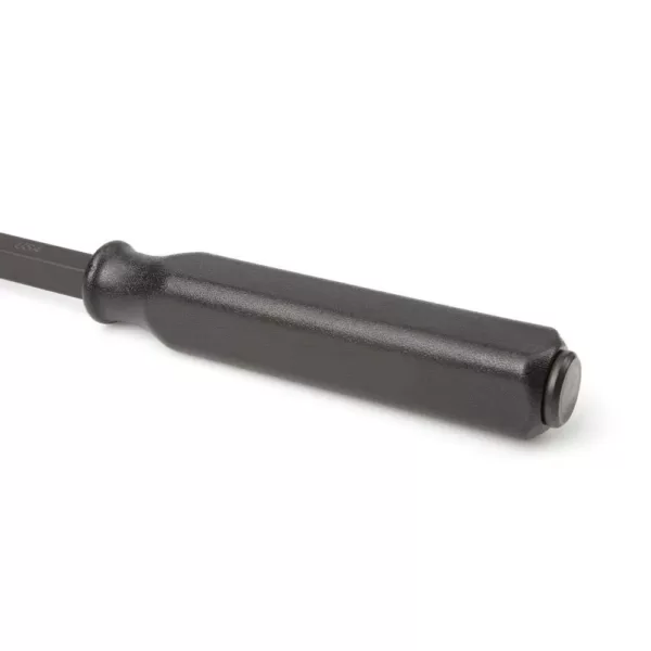 TEKTON 31 in. Angled Tip Handled Pry Bar with Striking Cap