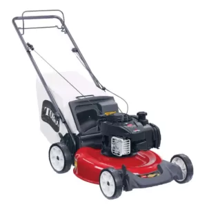 Toro Recycler 21 in. Briggs and Stratton Low Wheel RWD Gas Walk Behind Self Propelled Lawn Mower with Bagger