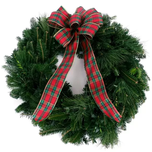 VAN ZYVERDEN 24 in. Live Fresh Cut Blue Ridge Mountain Mixed Christmas Wreath with Bow