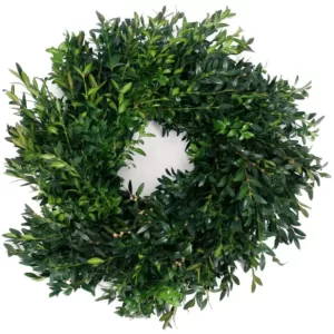 VAN ZYVERDEN 12 in. Live Fresh Cut Blue Ridge Mountain Box Wood Window Christmas Wreath