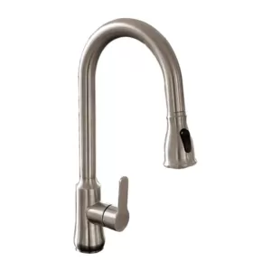 Vanity Art Single-Handle Pull Out Sprayer Kitchen Faucet in Brushed Nickel