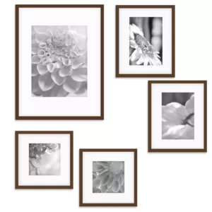 Pinnacle Wall Kit Walnut Picture Frame (5-Pack)