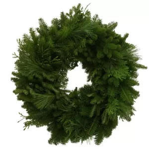 Worcester Wreath 24 in. Balsam Mixed Greens Fresh Wreath : Multiple Ship Weeks Available